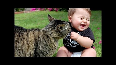 Baby and cat fun and cute- funny baby videos