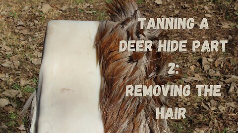 Tanning A Deer Hide Part 2: Removing The Hair