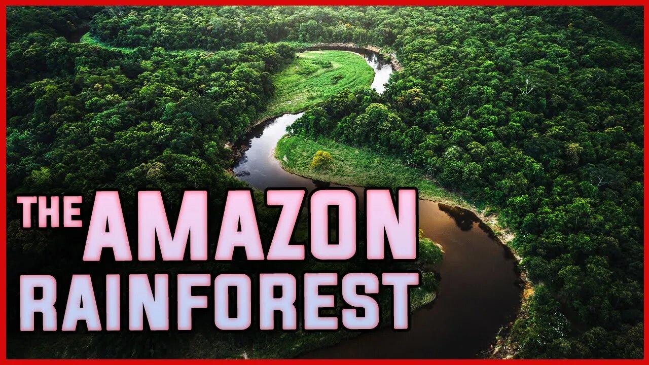 WHY THE AMAZON RAIN-FOREST IS SO IMPORTANT? | WILDLIFE | GLOBAL WARMING | NATURE | SCIENCE | WORLD