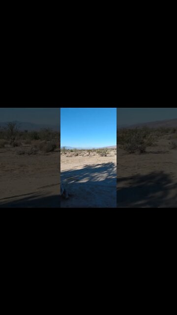 Themistocles saved the people of Athens with a suggestion