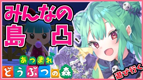 【あつまれどうぶつの森】やほ！お土産持って視聴者さんの島へ遊びに行く！！みんなの島見せてーー！！【ホロライブ】