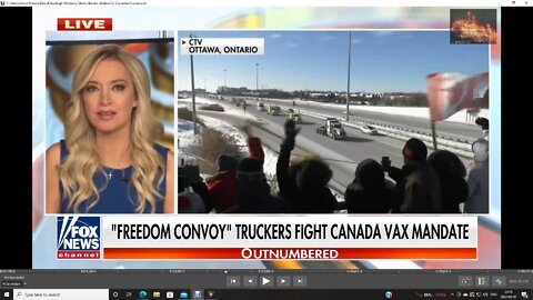 Kayleigh McEnany Blasts liberals' disdain for Canadian truckers