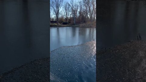 The surprising sounds broken ice makes on the surface of a lagoon in the wind! Super Cool! Subscribe