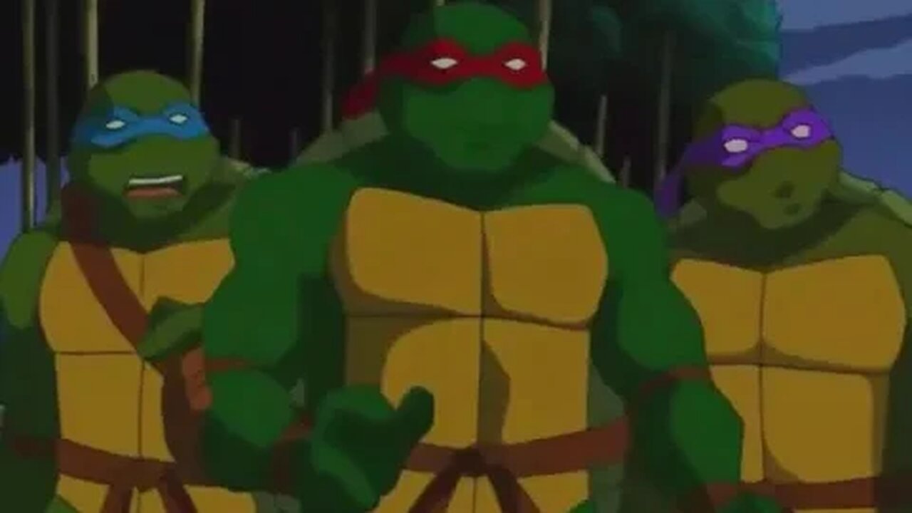 Teenage Mutant Ninja Turtles (S02E07) - Secret Origins Part 2