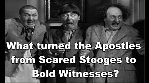 Bold Witnesses