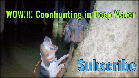 Coonhunting in South Carolina