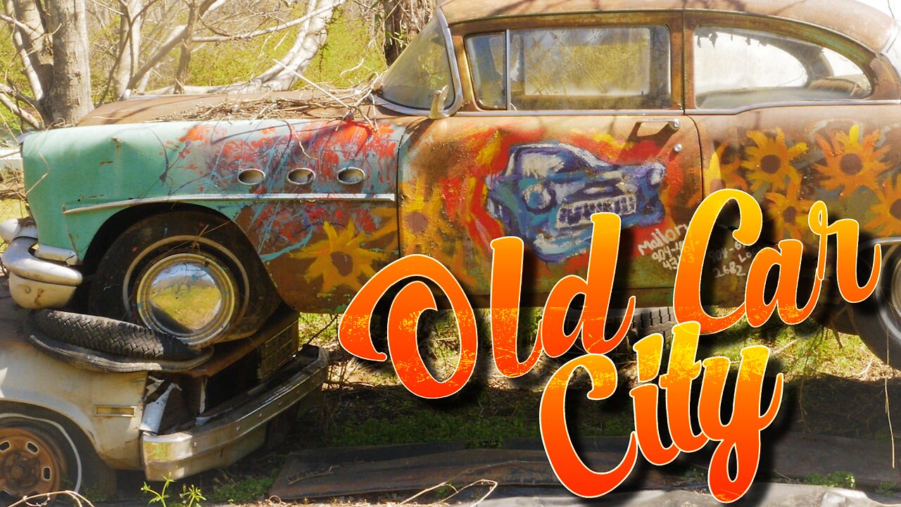 Old Car City: The Junkyard Turned Photographer's Paradise