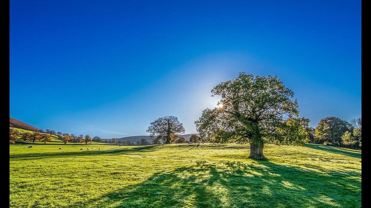 Soothing Morning Music For Stress Relief with Positive Energy