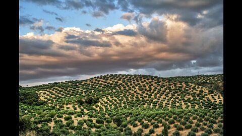 The most beautiful landscapes