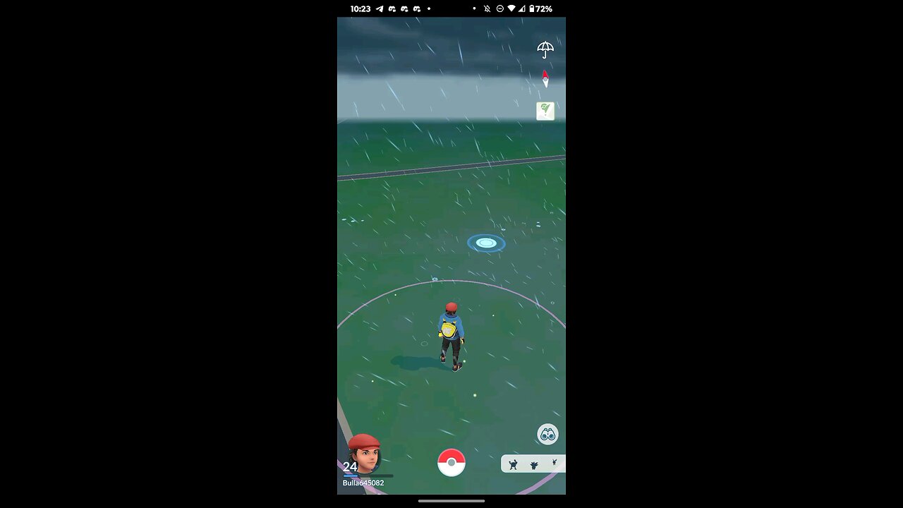rainy and walking pokemon day