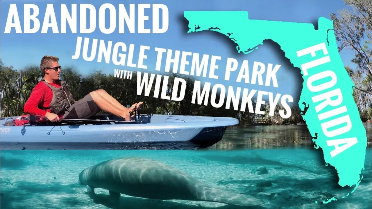 Found Wild Monkeys In Florida!