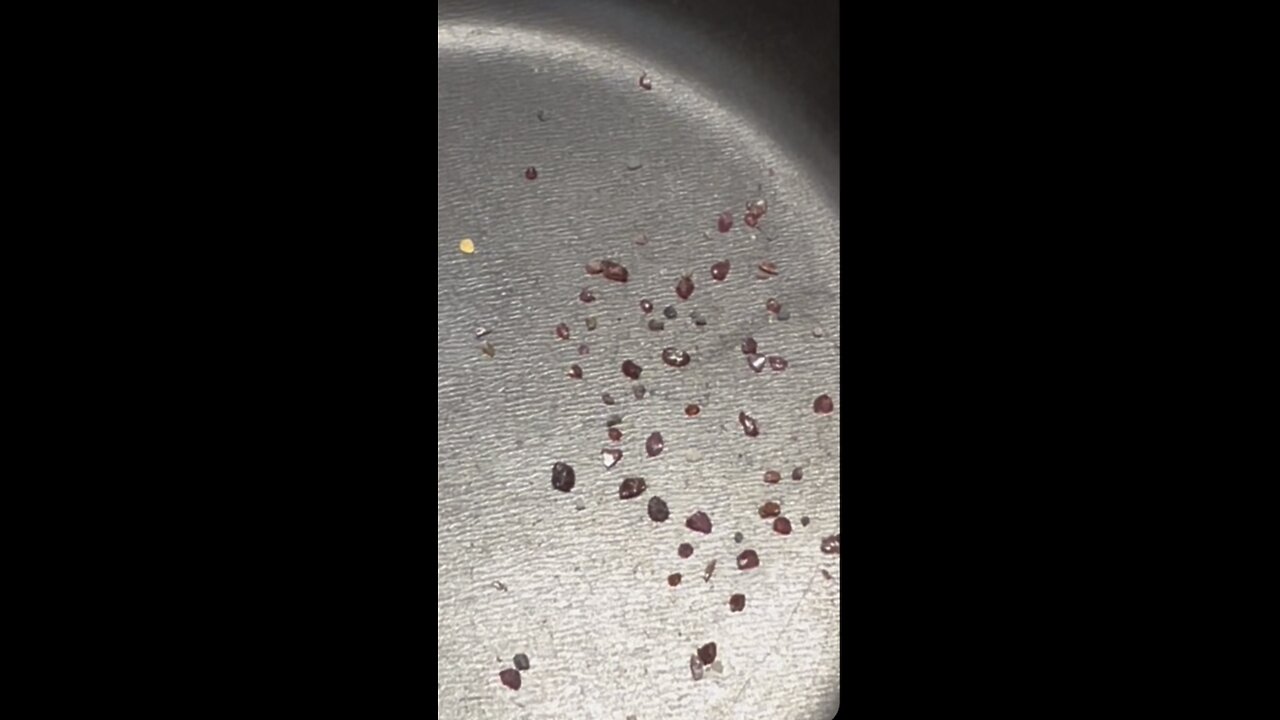 Michigan gold picker and garnets