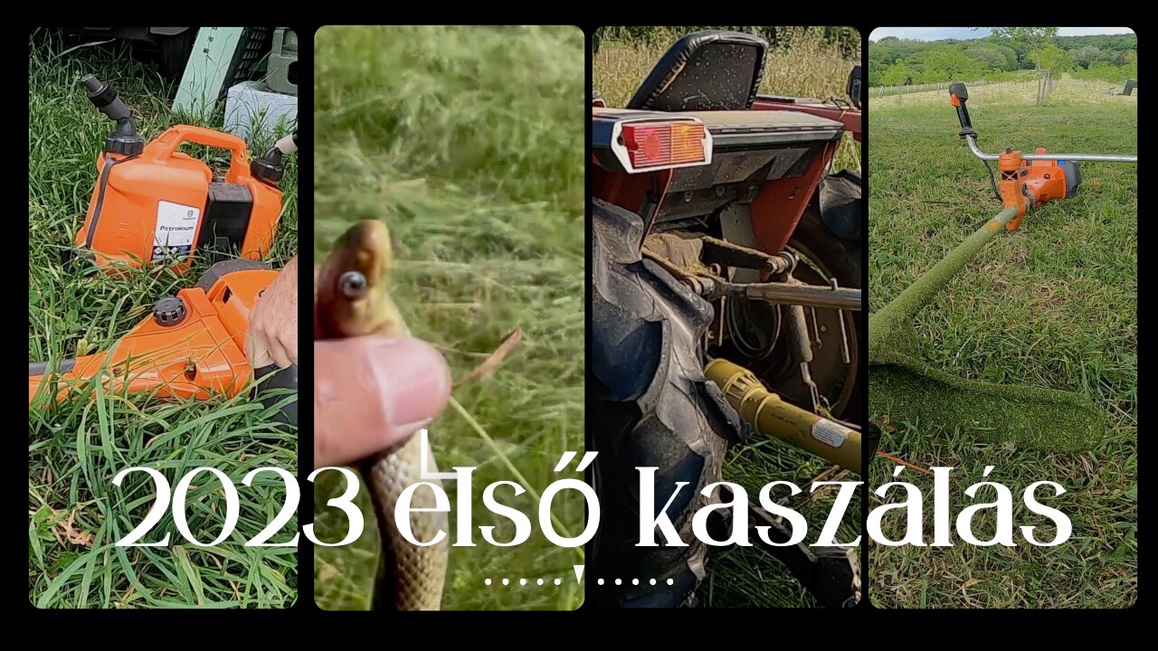🚜 Ekkora fű még sosem volt nálam! Kaszálás Yanmar traktorral, több meglepetés a videóban 2023
