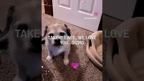 Take it Easy. we love you