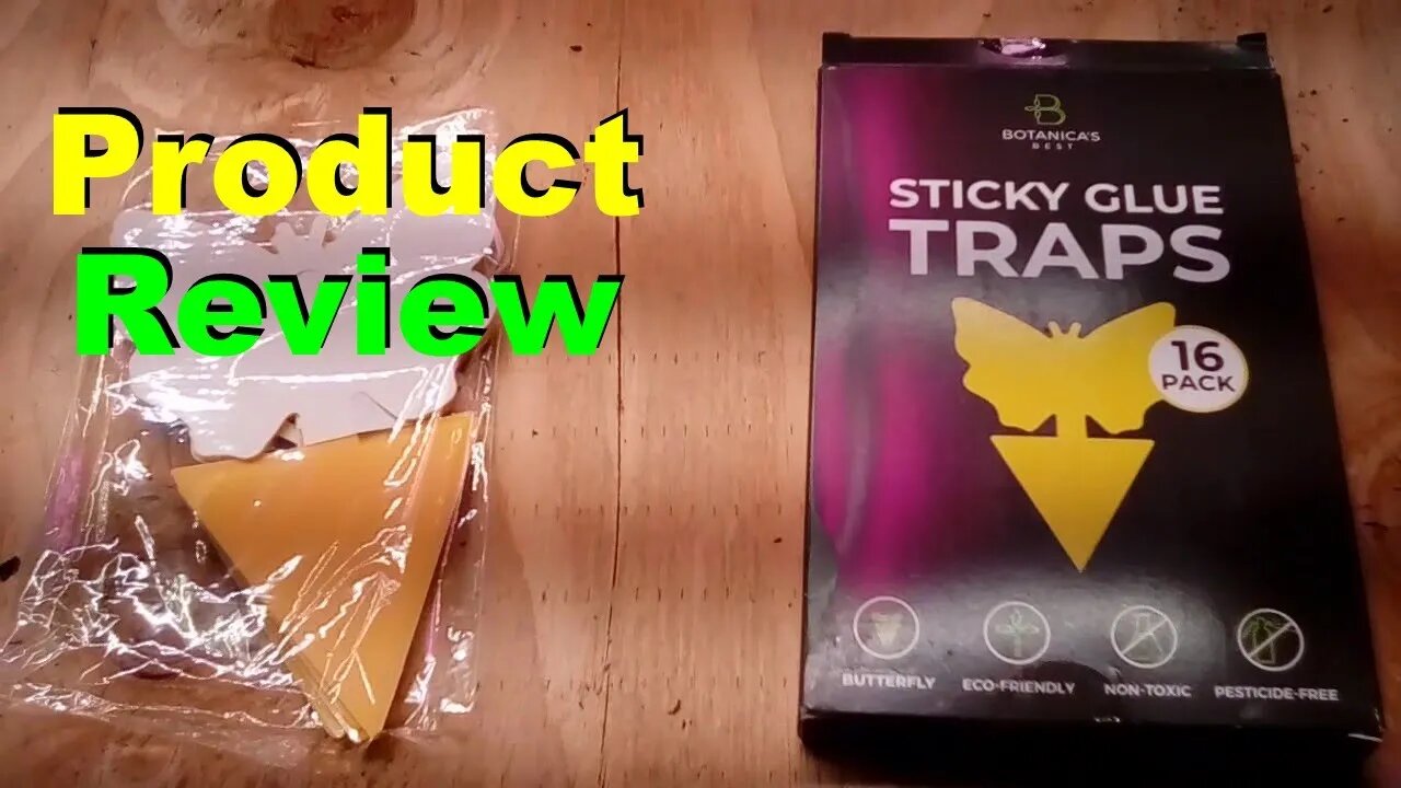 No. 649 – Sticky Traps For Gnats Product Review