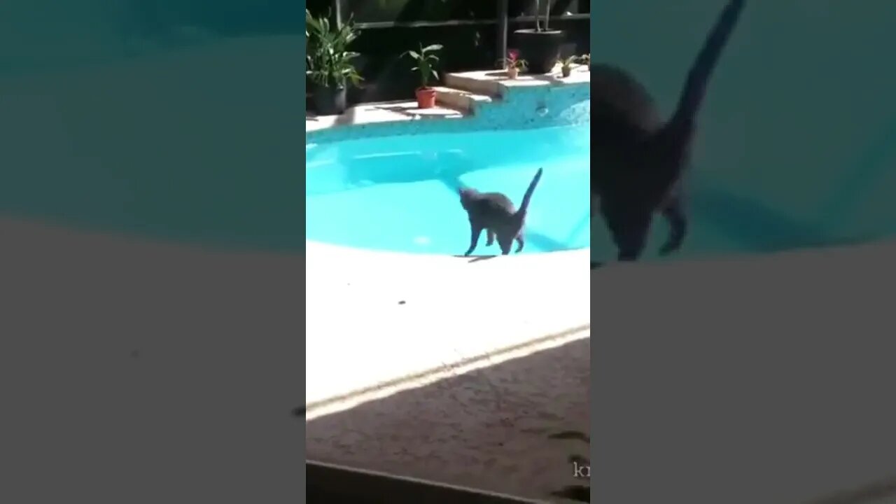 The danger of a sneeze #shorts