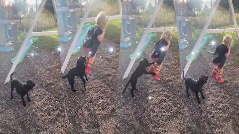 Remarkable puppy learns how to push toddler in a swing