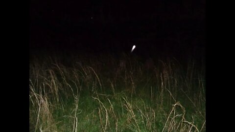 Buchanan Station Cemetery Orbs??