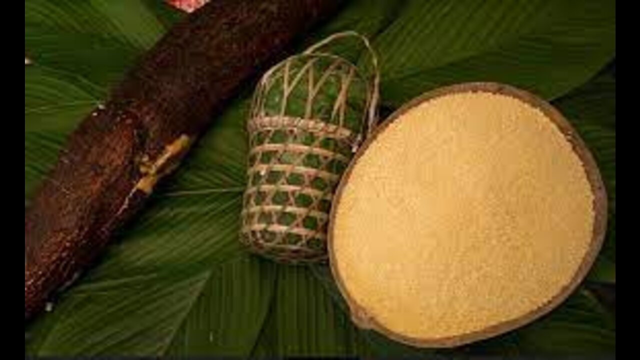 Cassava flour from Bragança is the best in Brazil.