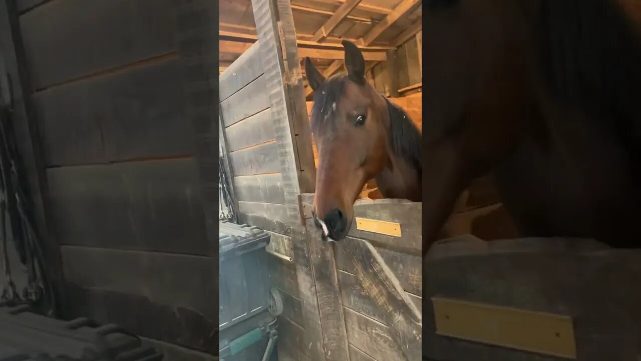 Plenty to go around