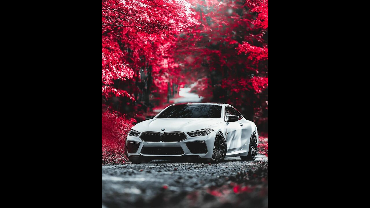 The beast BMW M8