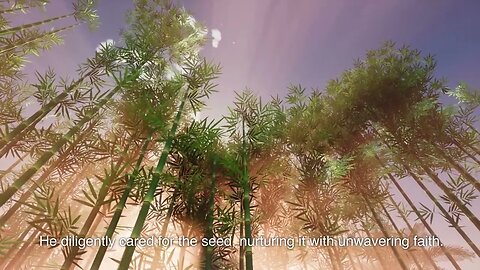 The farmer and the bamboo seed
