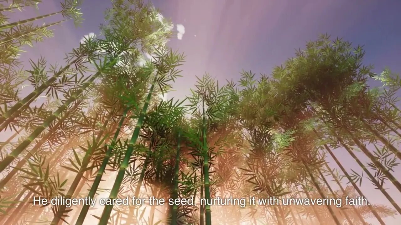 The farmer and the bamboo seed