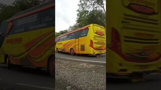 bus cahaya hati