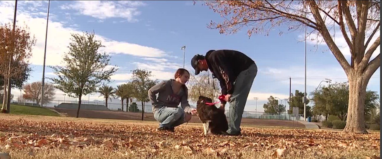 13 Days - Veteran gets service dog