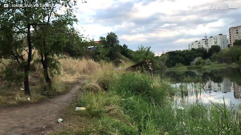 Ce cycliste en feu saute dans un lac