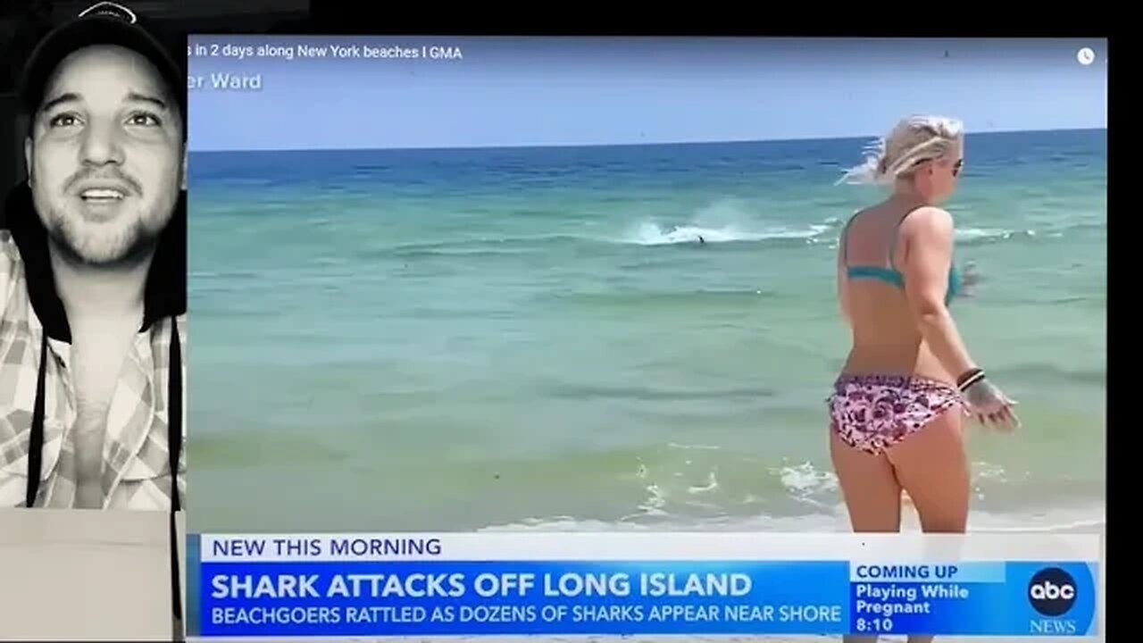 Sharks are attacking Along the East Coast and Florida | Stay Safe TCK Family