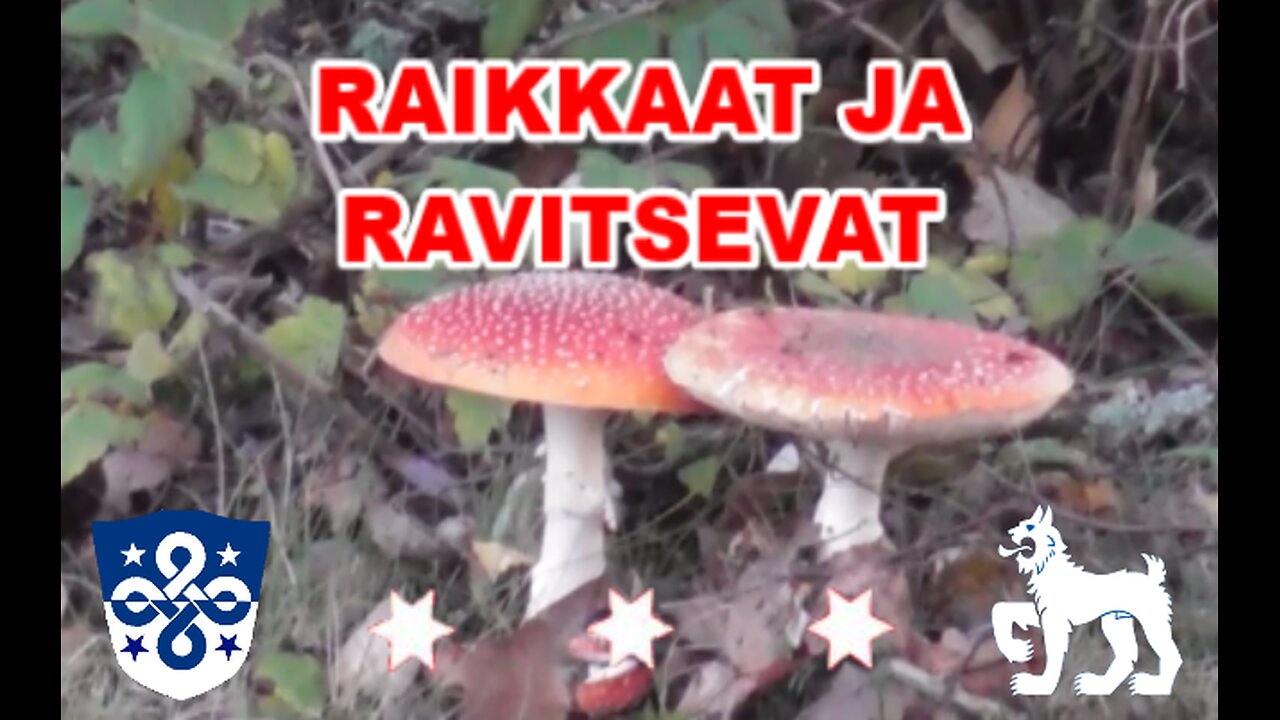 Raikkaat ja ravitsevat kärpässienet