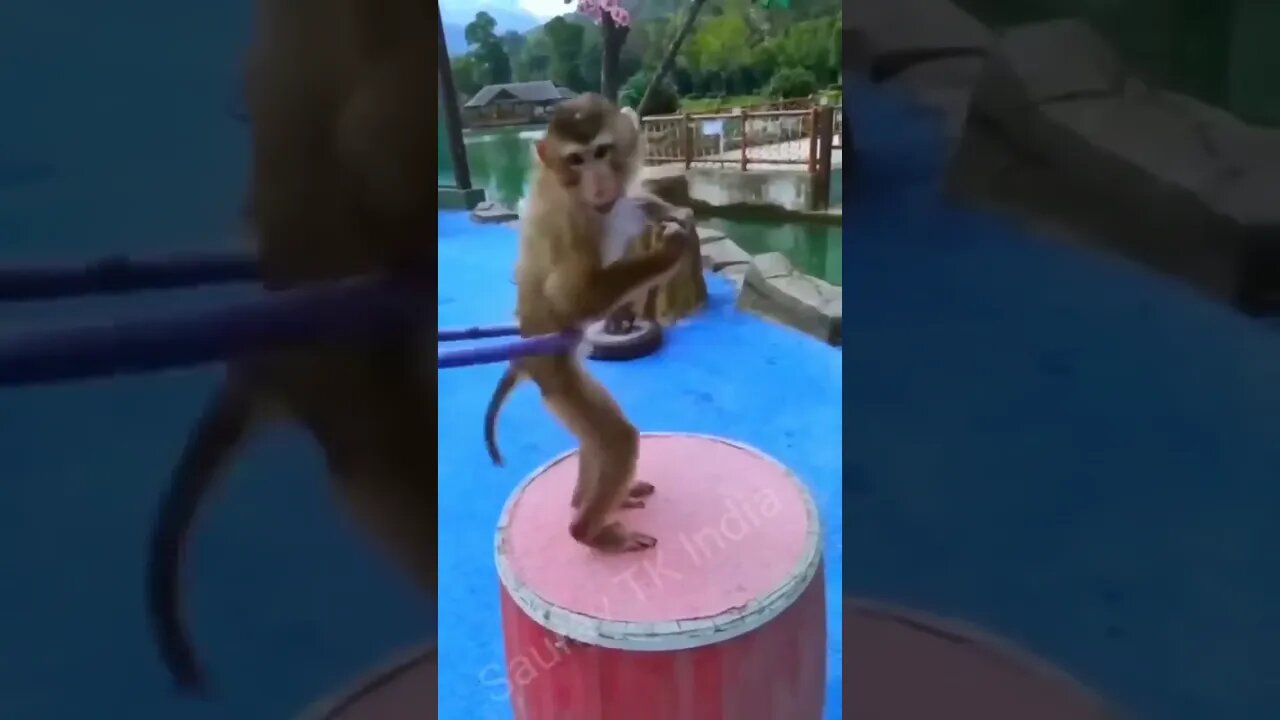 patli kamariya mora hii hi #funny #viral #trending