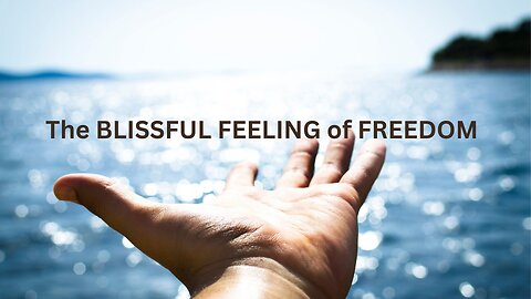 The BLISSFUL FEELING of FREEDOM JARED RAND ~ 03-13-24 # 2115