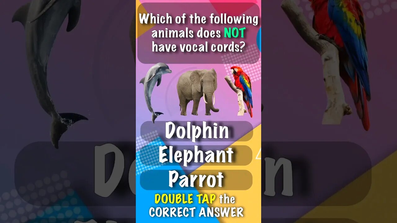 Animal Quiz 4 Animal with NO vocal cords #shorts #facts #quiz #education #learning