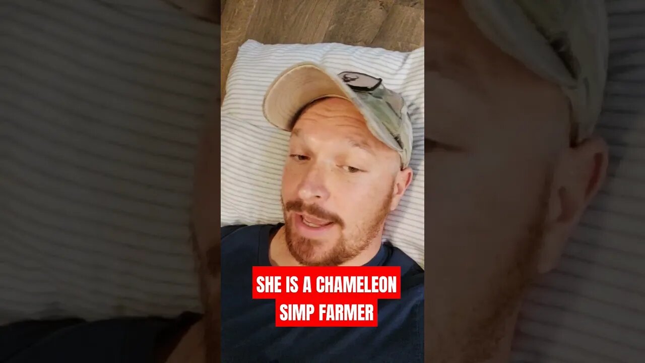 SIMP FARMING CHAMELEON #homelessveteran #usa #mensrights #america #shortsviral #females #simps #fake