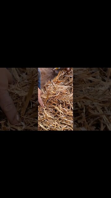 This Was FUN! First Layer Of Our Earthen Floor #diy #offgrid