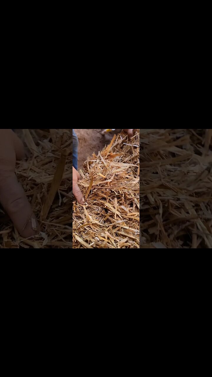 This Was FUN! First Layer Of Our Earthen Floor #diy #offgrid