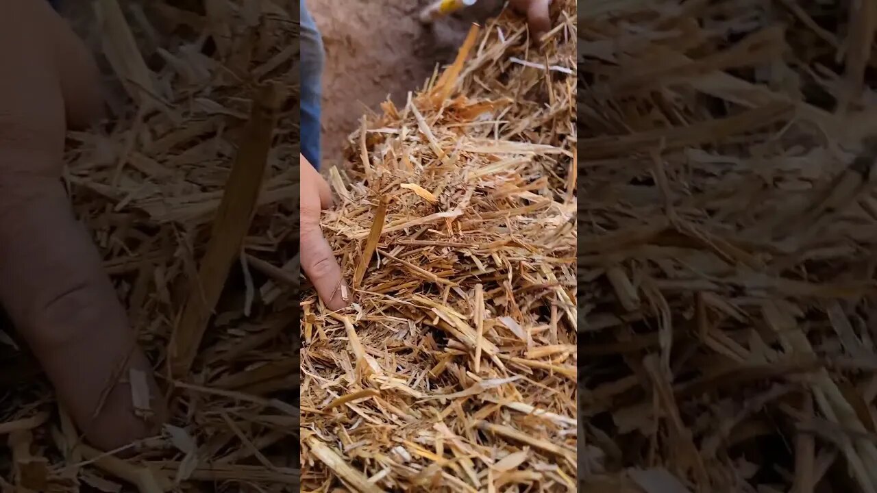 This Was FUN! First Layer Of Our Earthen Floor #diy #offgrid