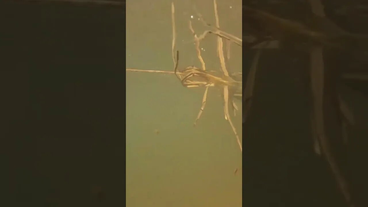 When it’s just not your day.