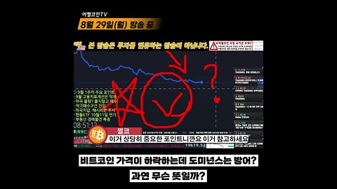 비트코인 하락하는데 도미넌스는 방어중? 무슨 의미일까? | 비트코인 실시간 생방송 쩔코TV 8월29일 #shorts #숏츠