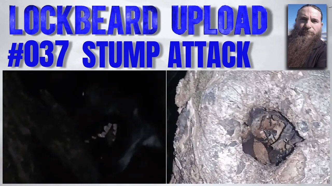 UPLOAD #037 Stump Attack