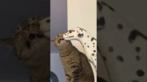 I have no words