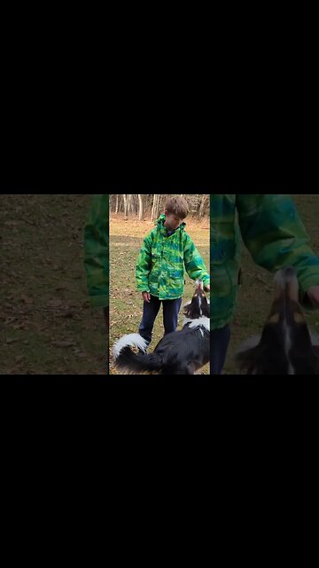 having fun with your chickens