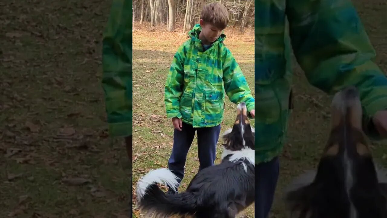 having fun with your chickens