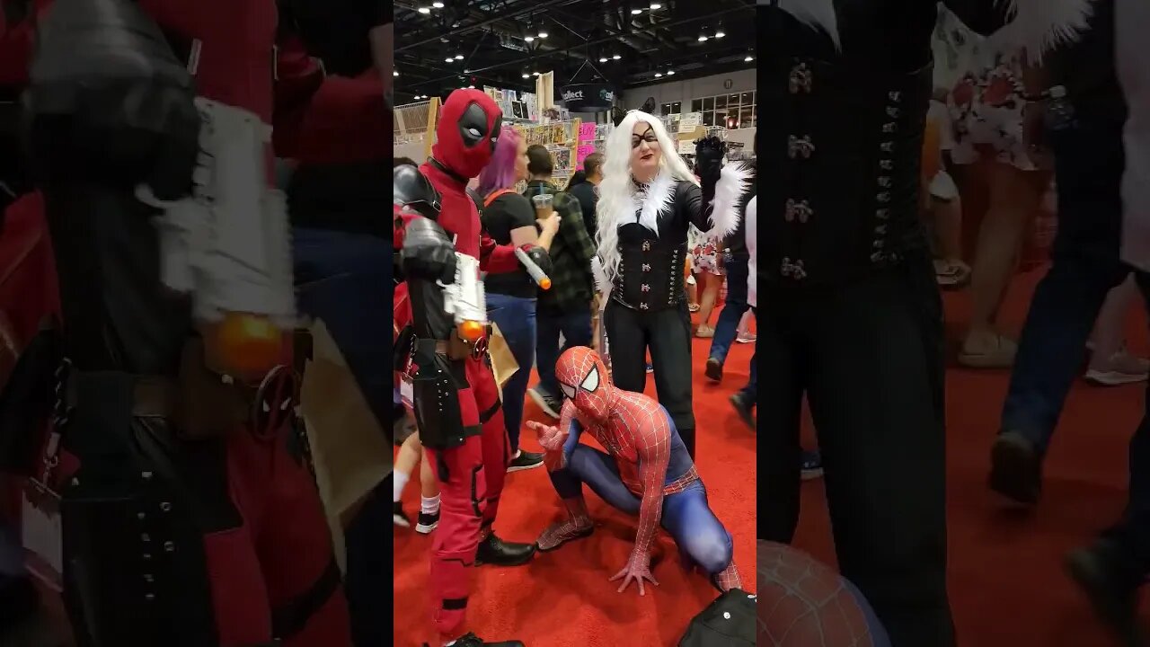 Megacon | Spider Man | Deadpool | Black Cat