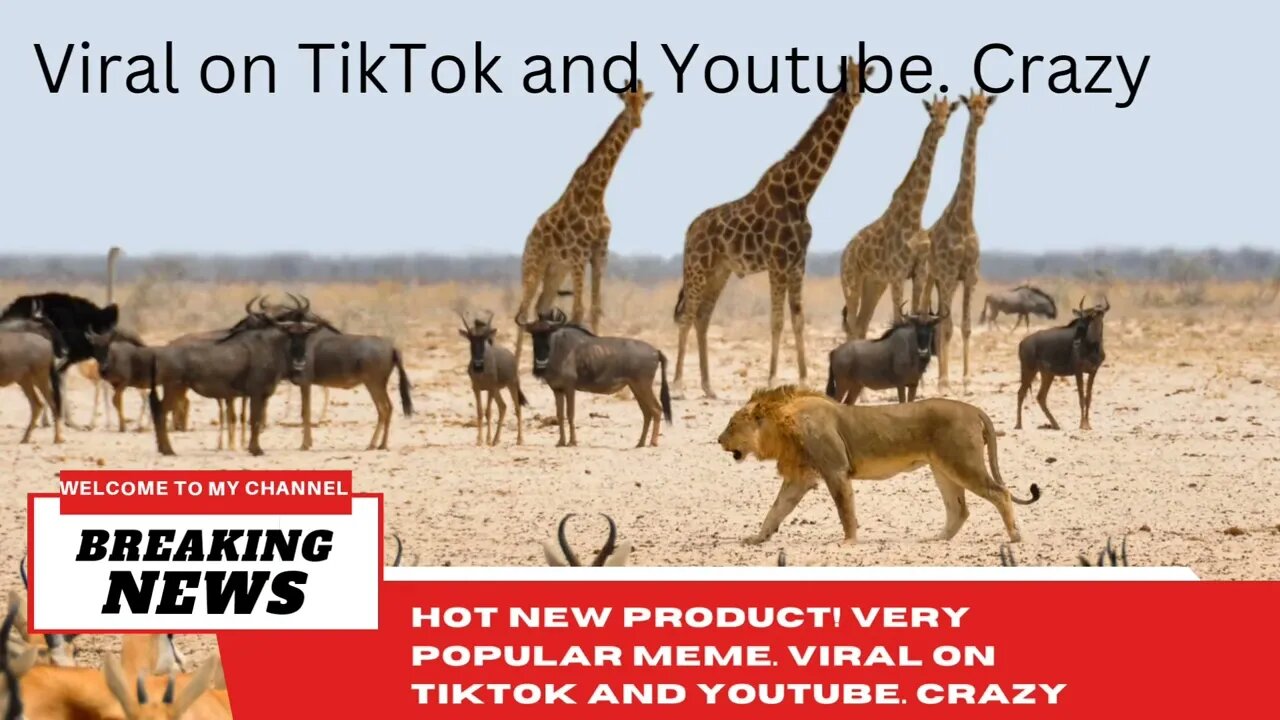 Viral on TikTok and Youtube. Crazy