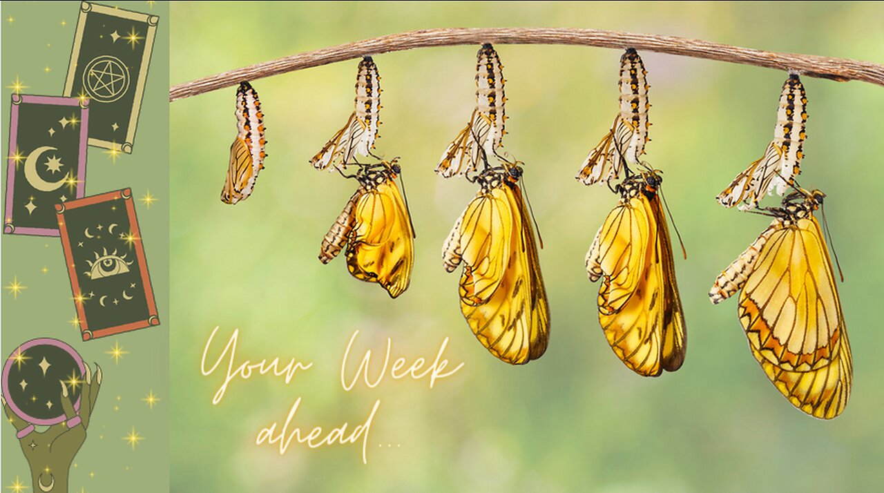 Your Week Ahead ~ Transitioning Cycles ~ Self Interpretation ~ ASMR