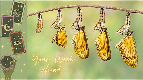Your Week Ahead ~ Transitioning Cycles ~ Self Interpretation ~ ASMR