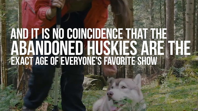 Huskies Are Being Abandoned Because of Game of Thrones